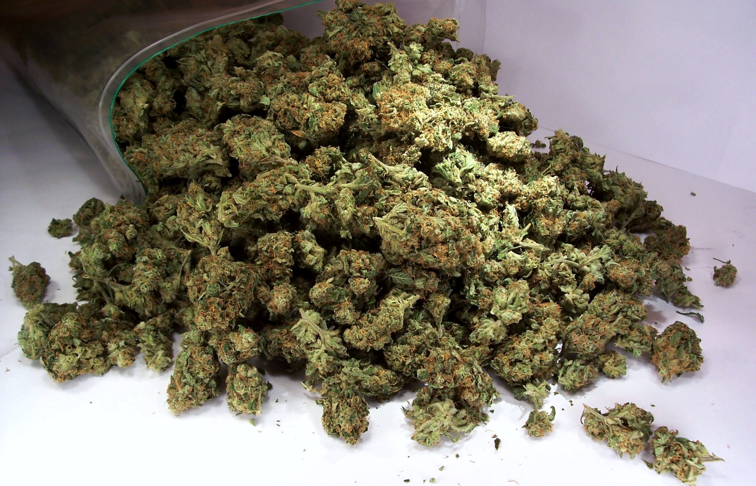 Tisanella cannabis light