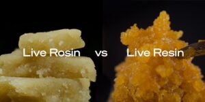 Rosin vs Resin